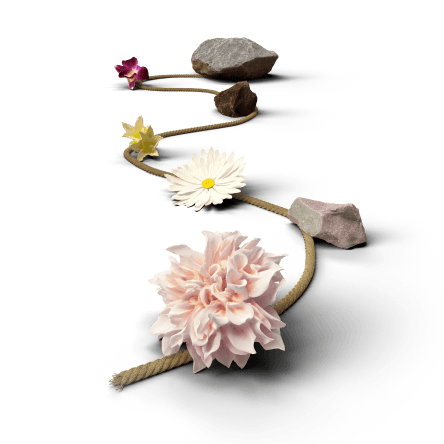 Eye Movement Desensitization and Reprocessing (EMDR) photo