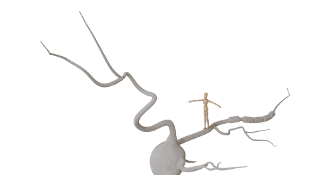 image of Fachpsychotherapie für Neuropsychologie