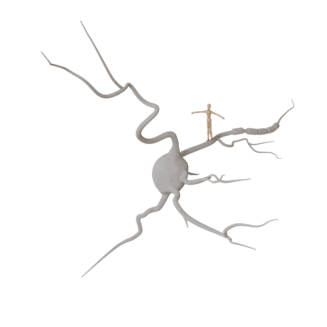 Fachpsychotherapie für Neuropsychologie