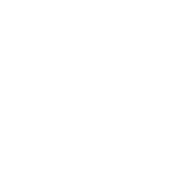 Systemica Institut Logo